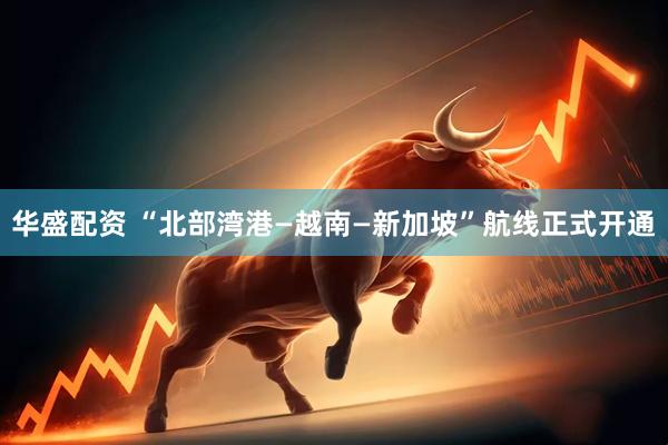 华盛配资 “北部湾港—越南—新加坡”航线正式开通