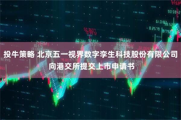投牛策略 北京五一视界数字孪生科技股份有限公司 向港交所提交上市申请书