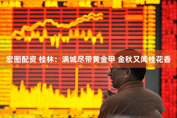 宏图配资 桂林：满城尽带黄金甲 金秋又闻桂花香